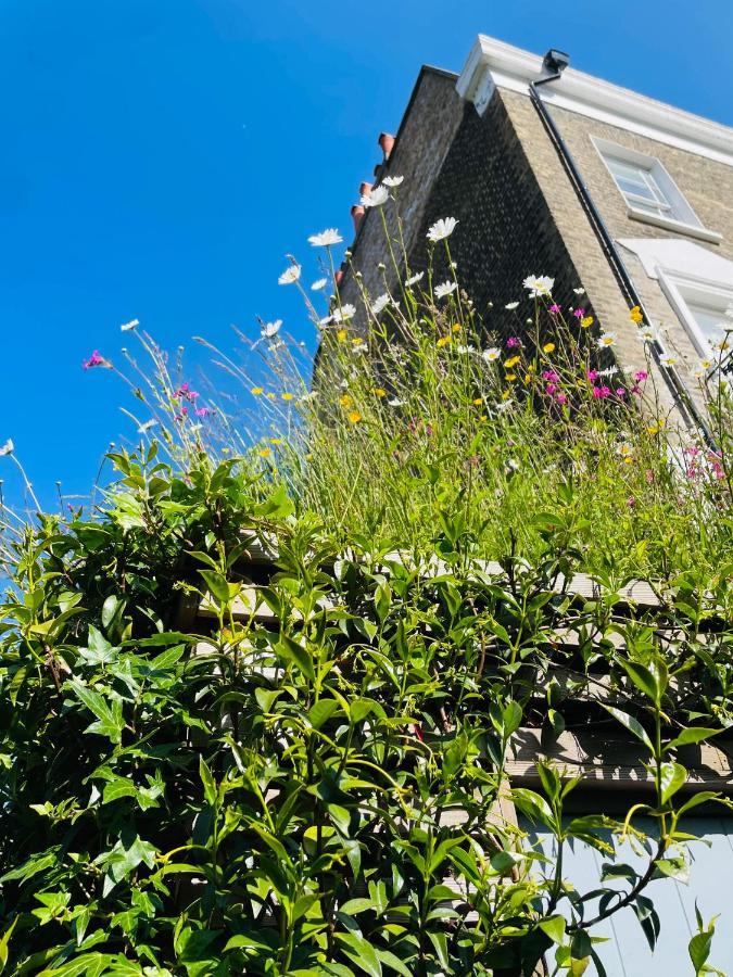 卡姆登镇花园小屋旅馆 伦敦 外观 照片